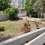Jani\'S Studio